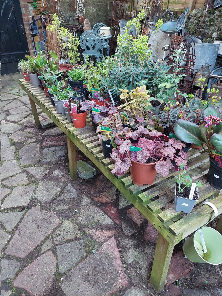 Little #spring refresh at Stable Antiques in #Storrington this #weekend open everyday 10-4 🌿 
#sussex #plants #flowers #Antiques