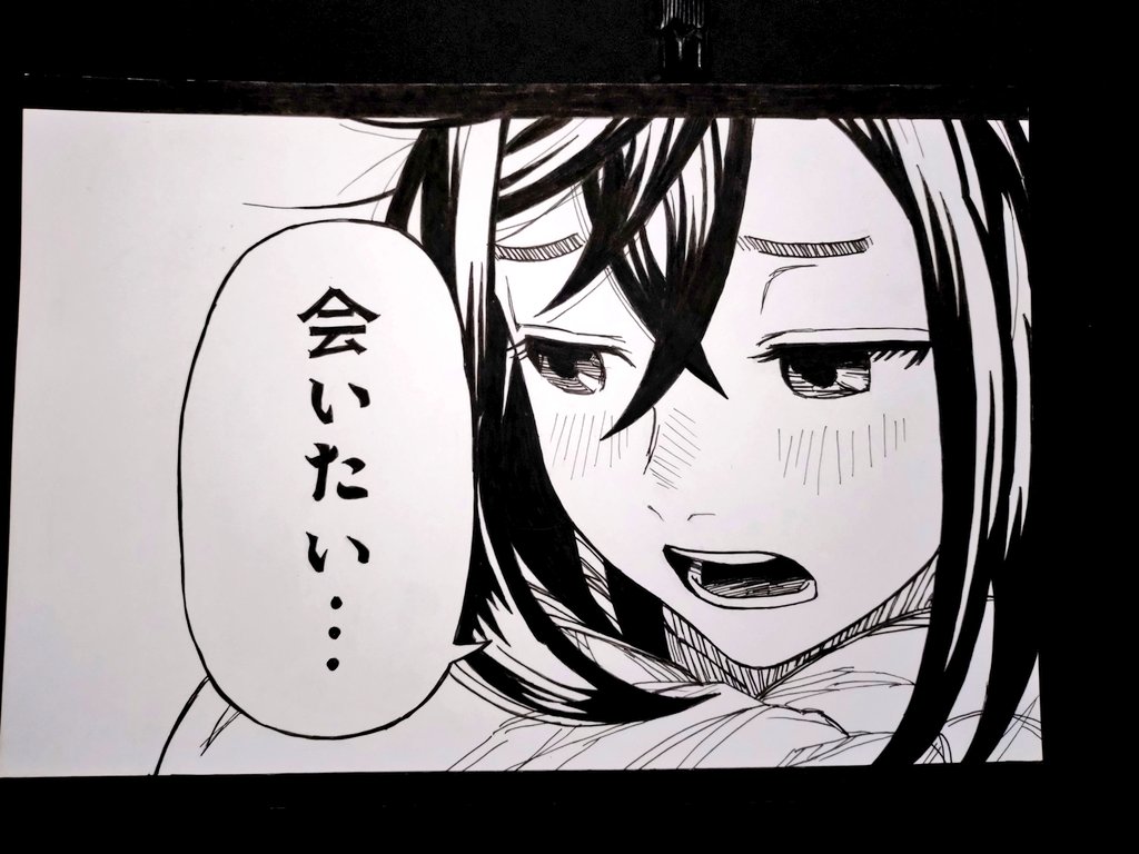 もちもちの猫 tweet media