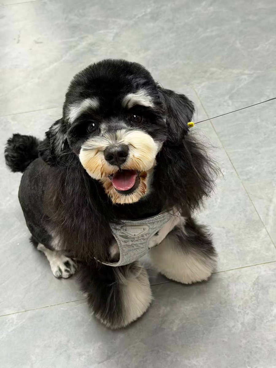 还是有点饿 tweet media