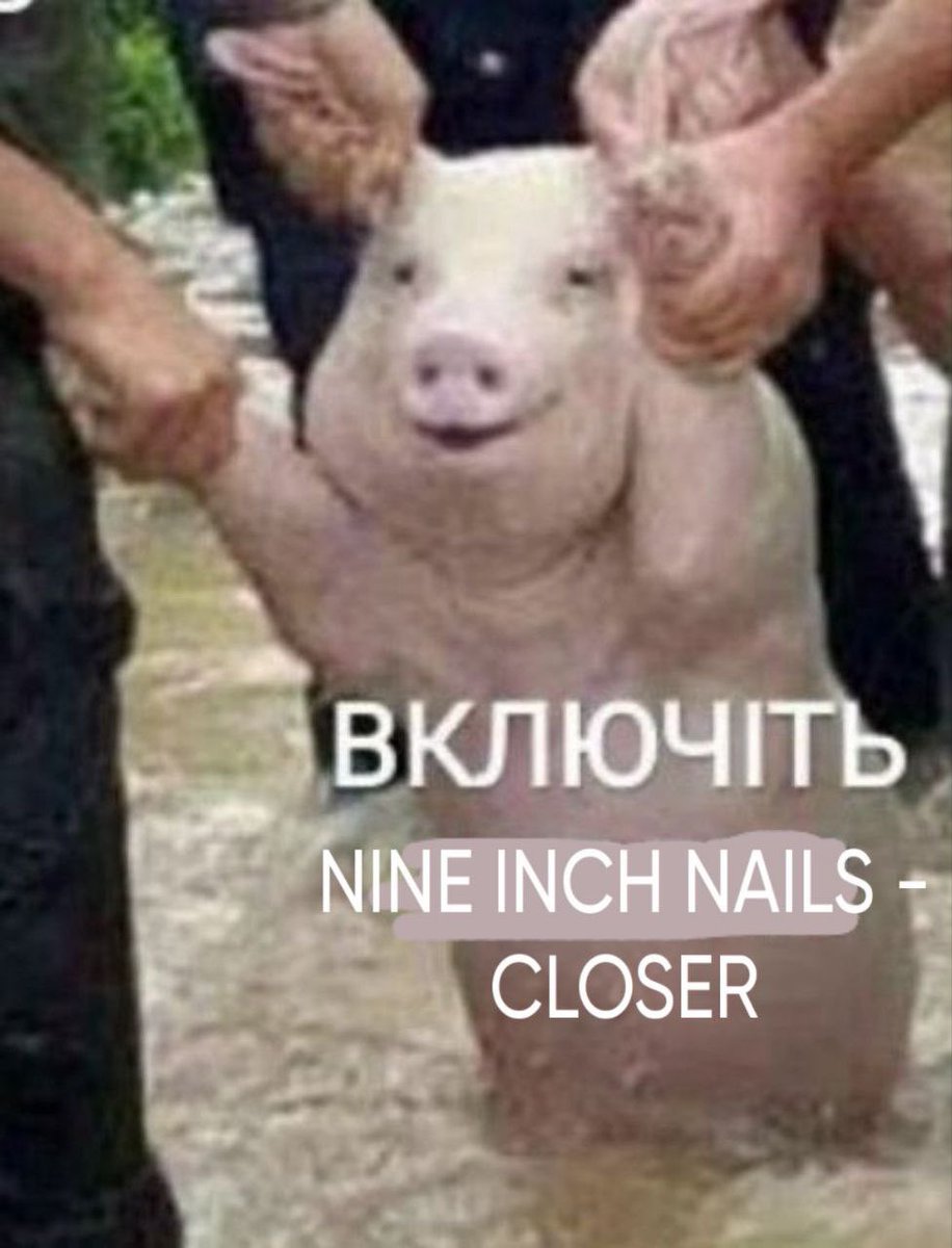 Кішкожінка tweet media