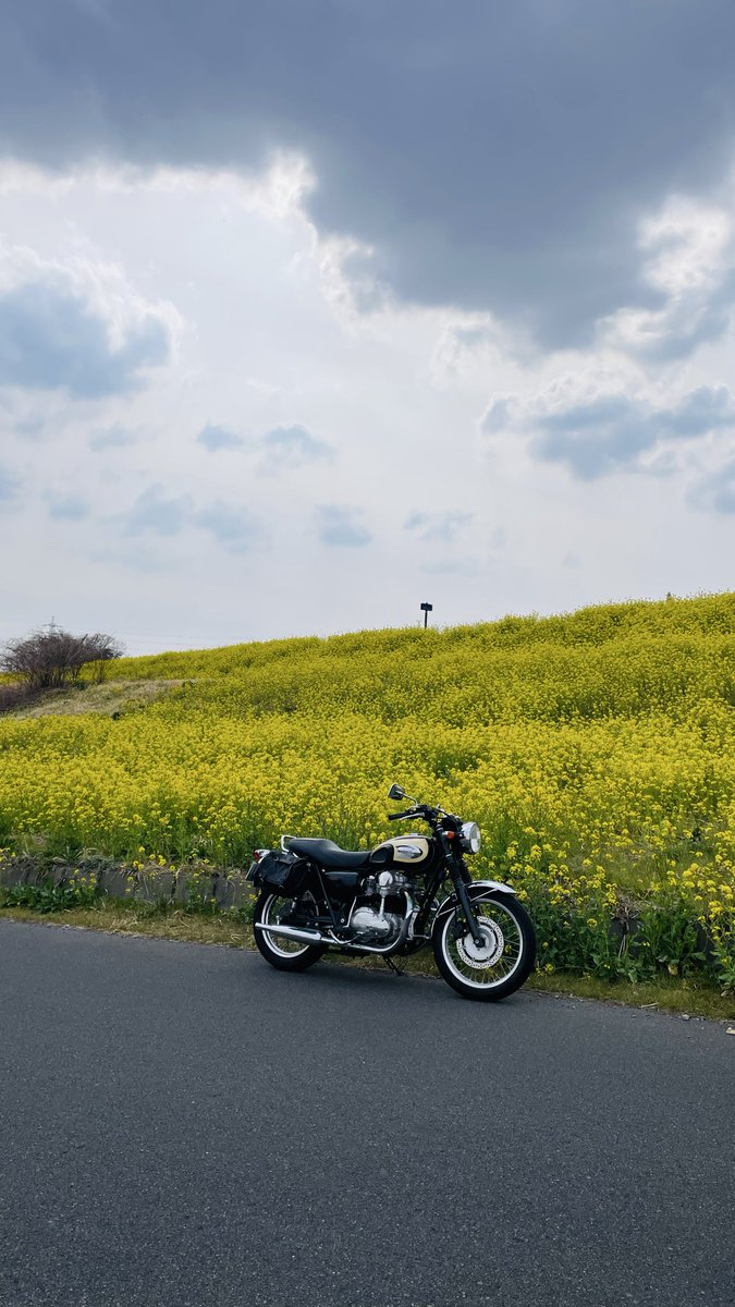 ななっぺ tweet media