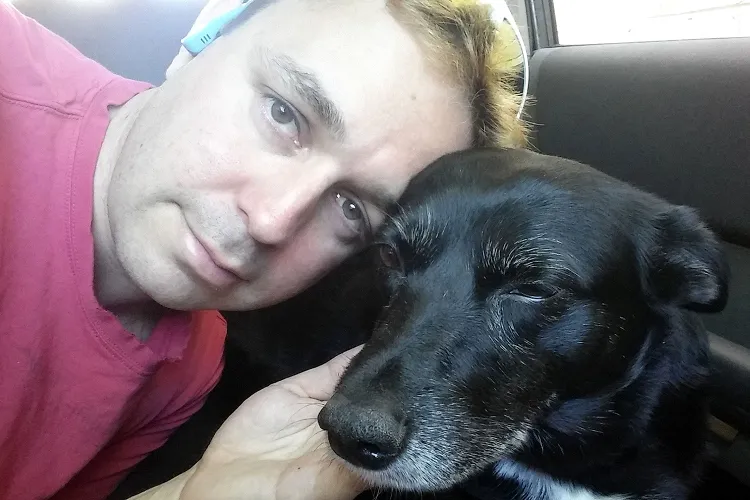 Shakespeare tweet media