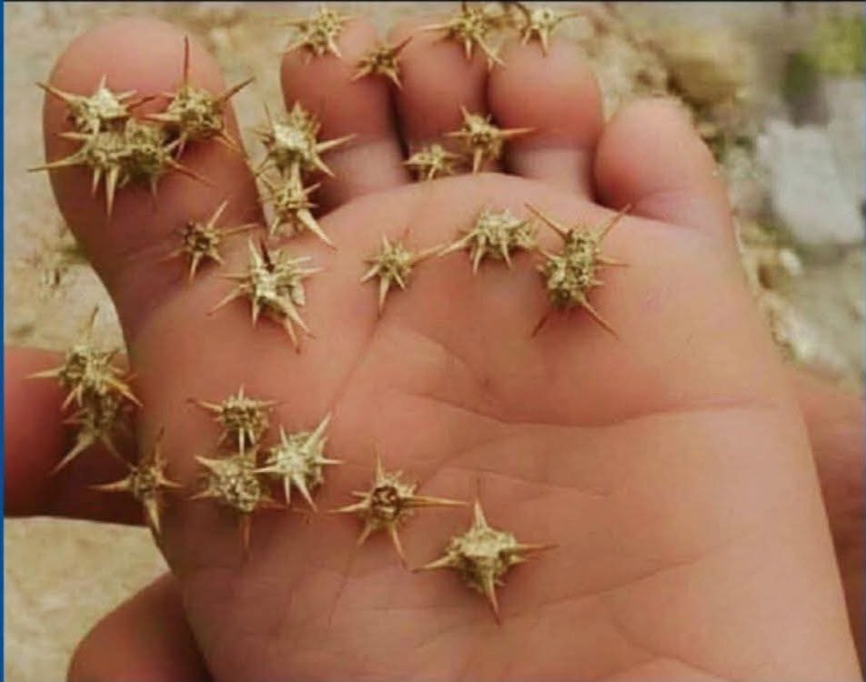 Warren 🇦🇺 tweet media