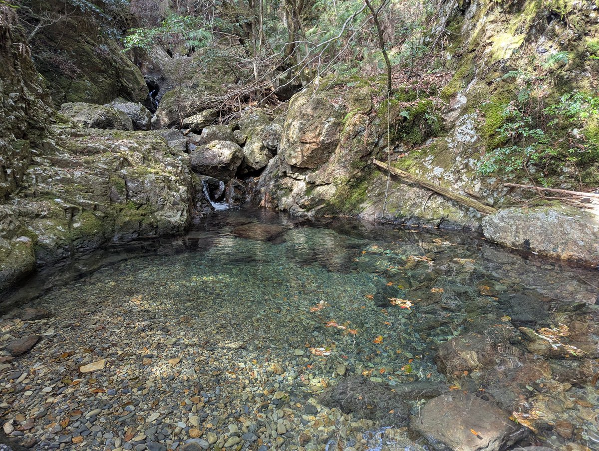 鹿取茂雄（よごれん） tweet media