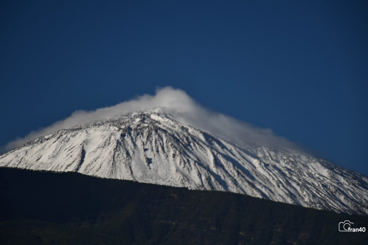 ☀⛅️️fran40 ☔️ tweet media