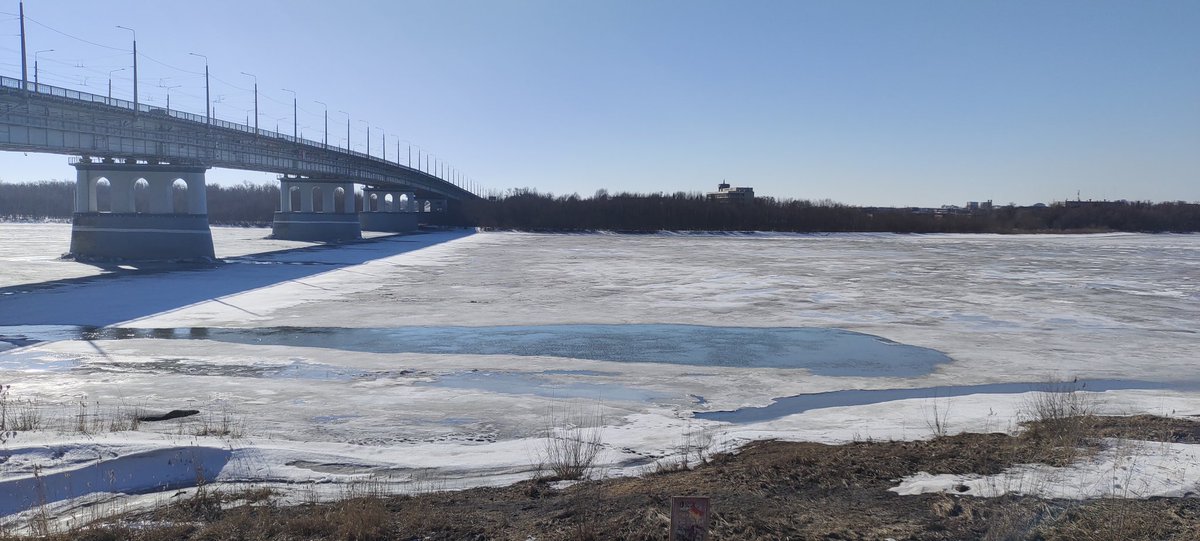 Lesbian Empress 🪿🐐 tweet media