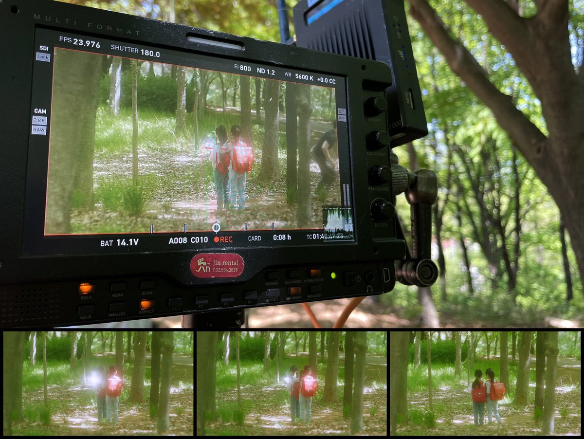 알감자 tweet media