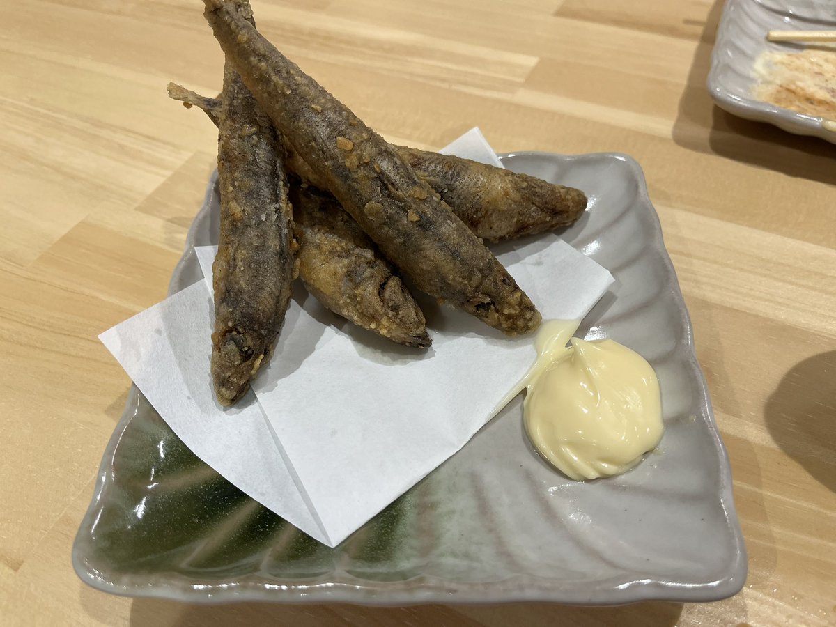 マサ坊 tweet media