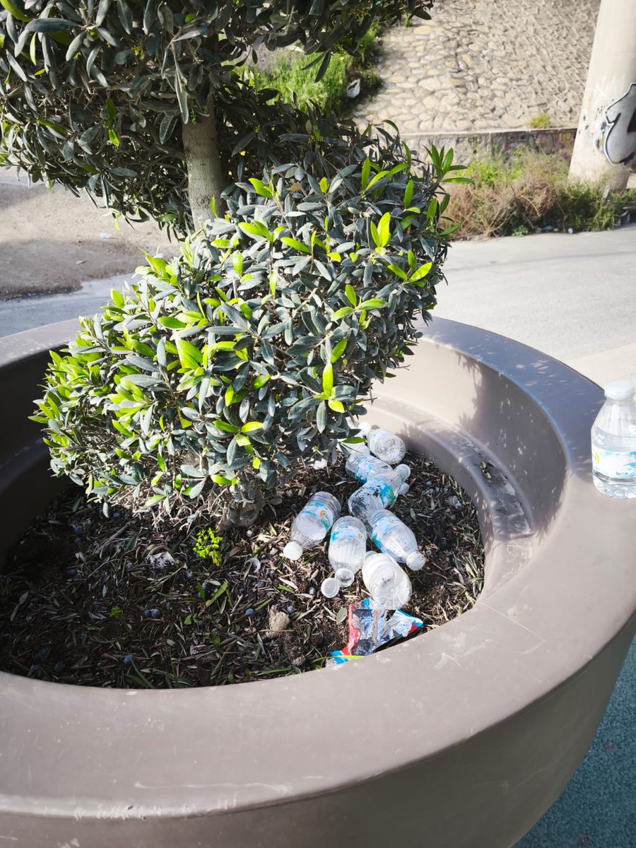 Slevaviuda tweet media