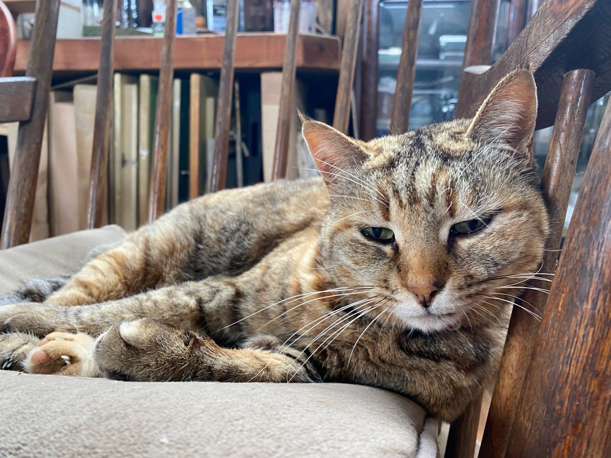 Yuko Sasaki tweet media