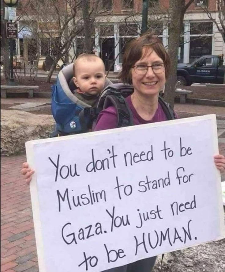 Dr. LilyFayed🇵🇸 tweet media