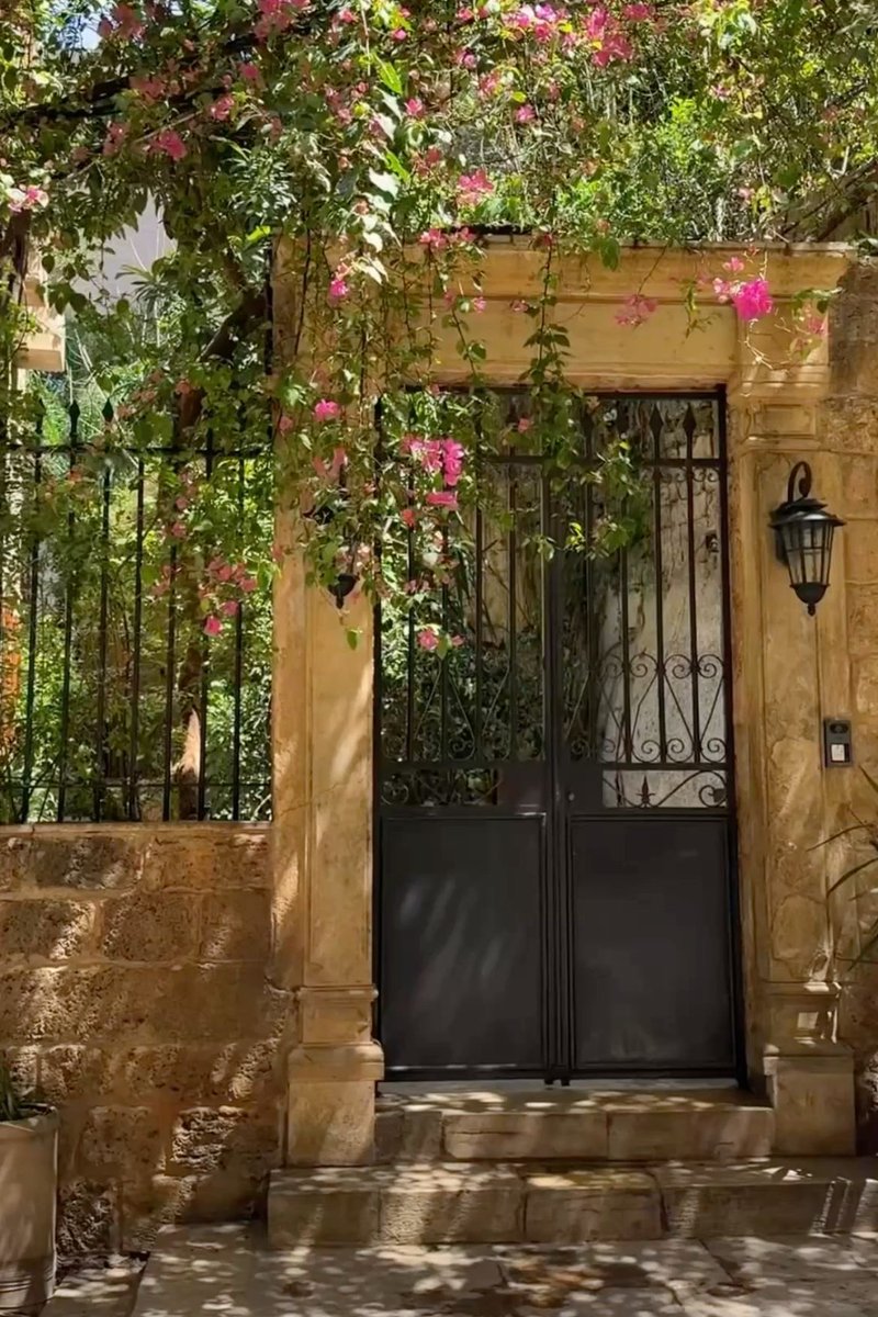 MENA Vibes tweet media