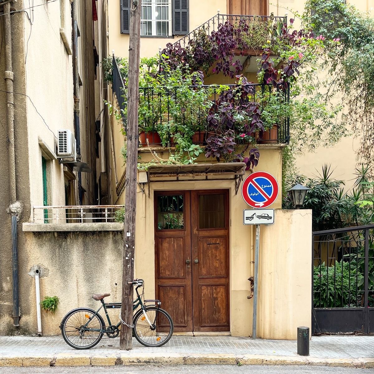 MENA Vibes tweet media