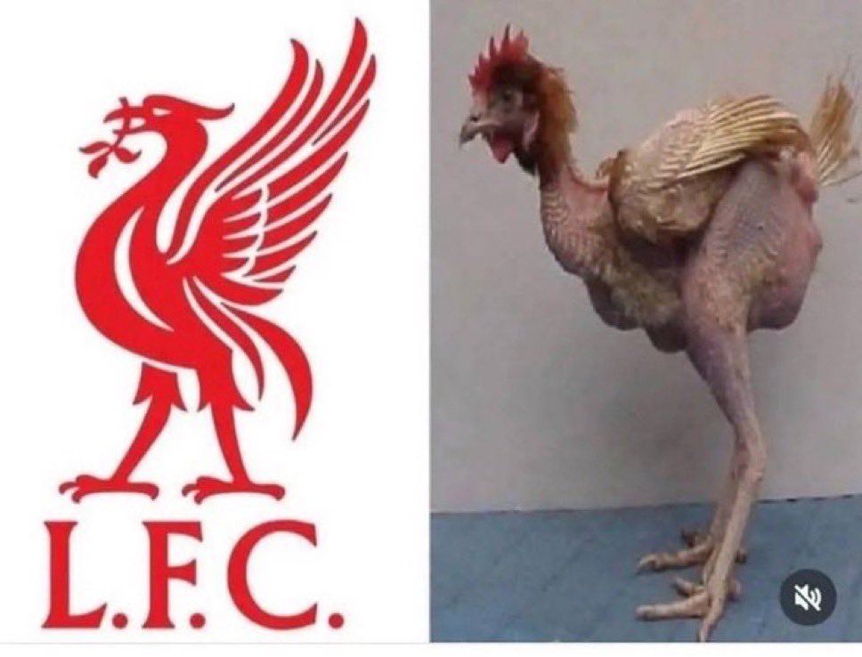 Cryptologin1's tweet photo. @YNWALiverqool @GalatasaraySK Liverfood https://t.co/6axLdlAICg