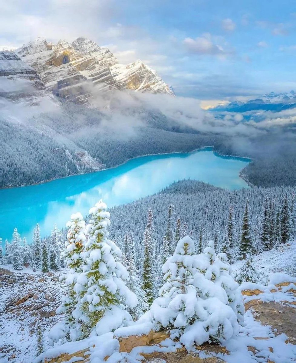 📷P220
📍Banff, Canada

Did you know the turquoise color of the lakes comes from glacial rock flour?
#Canada #Travel #Earth