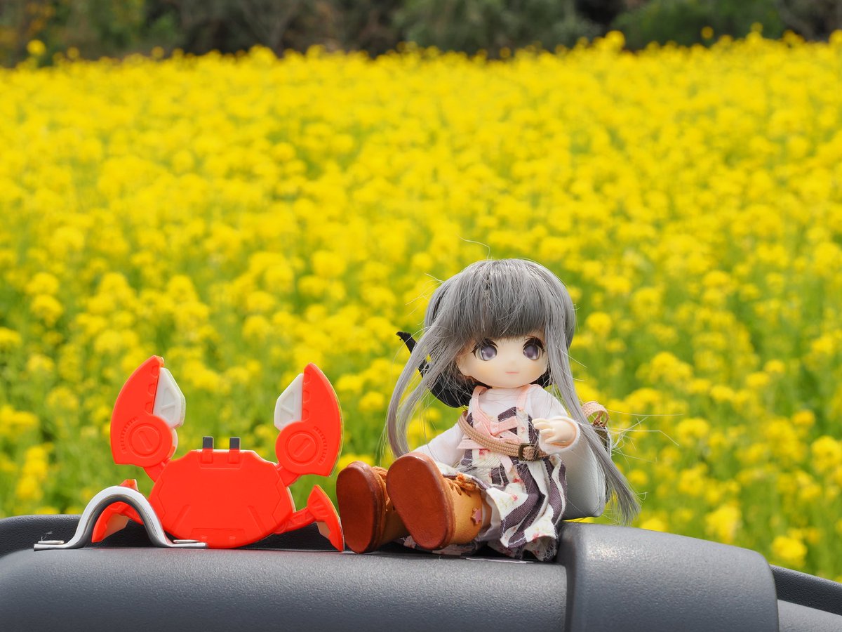 テッド tweet media