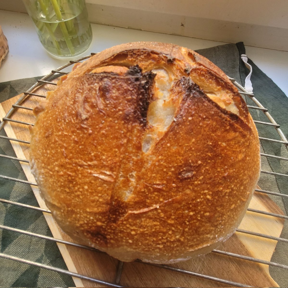 Melike Demirbağ Kaplan tweet media