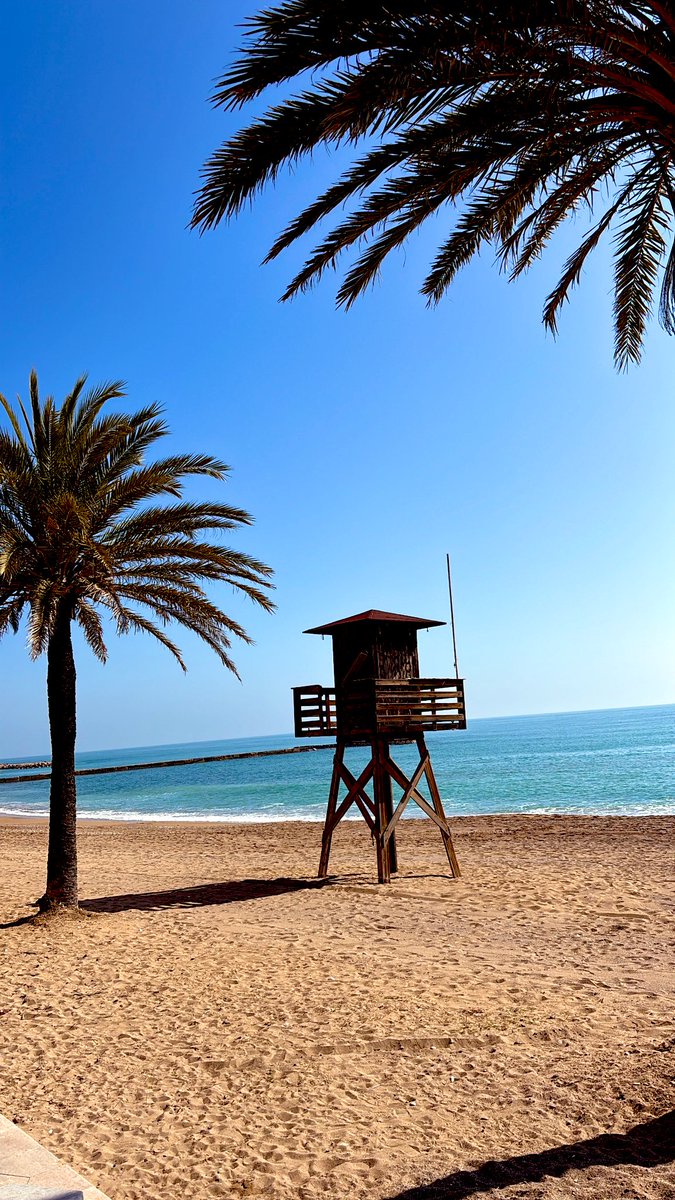 Ivan Romeu tweet media