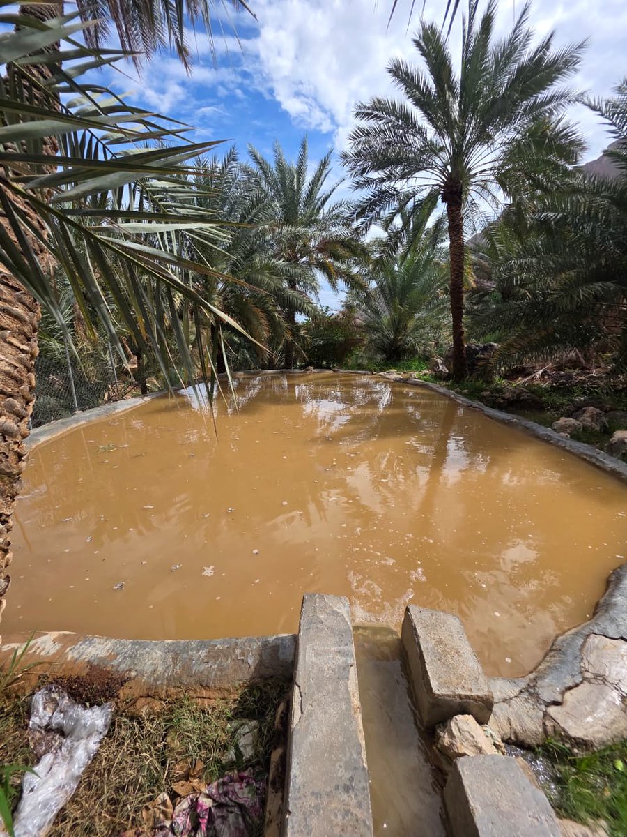 خــمــيــس الــربــخــي tweet media