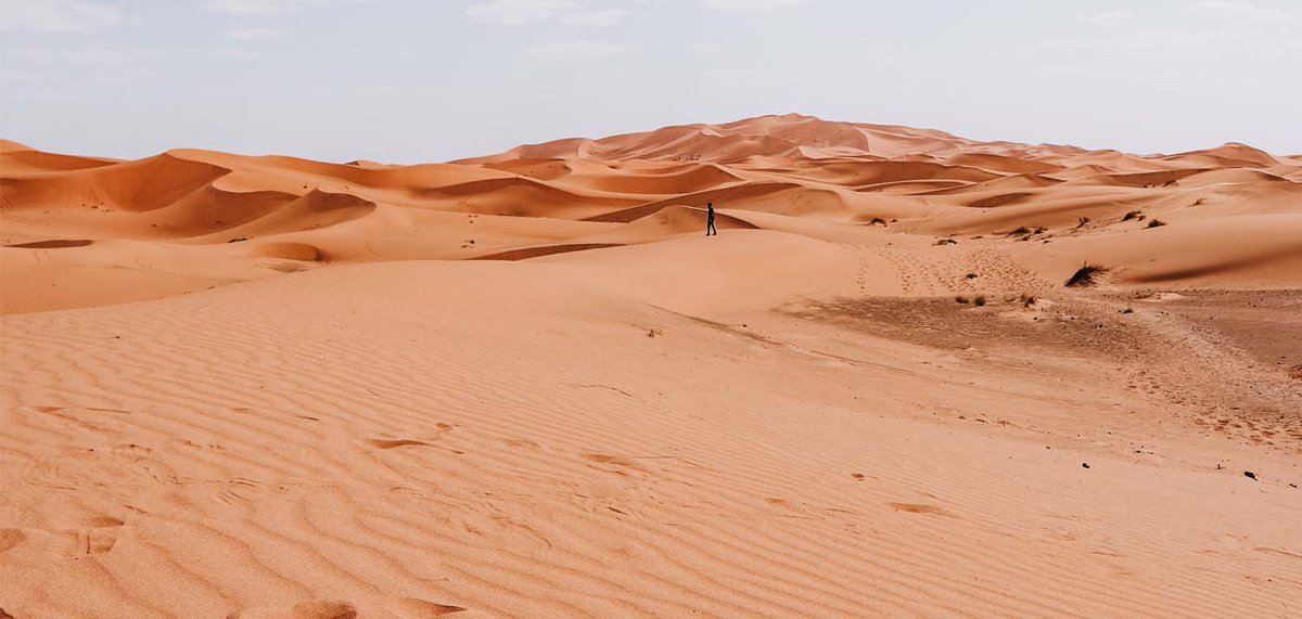 Ferdi Bechtold tweet media