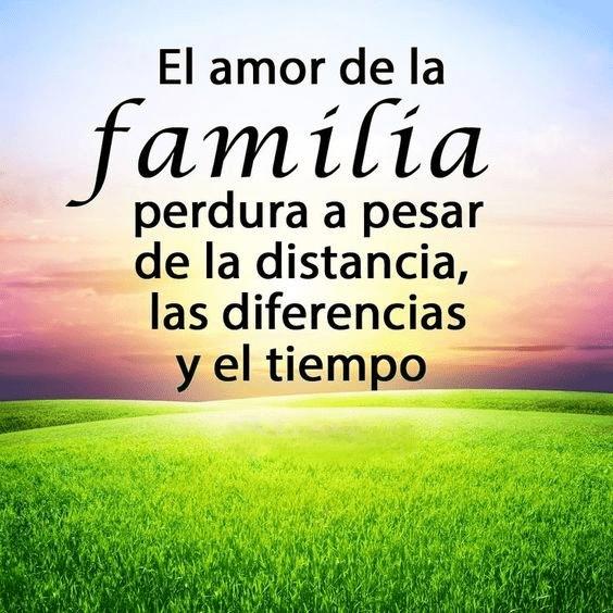 Manuel Bou sleiman tweet media