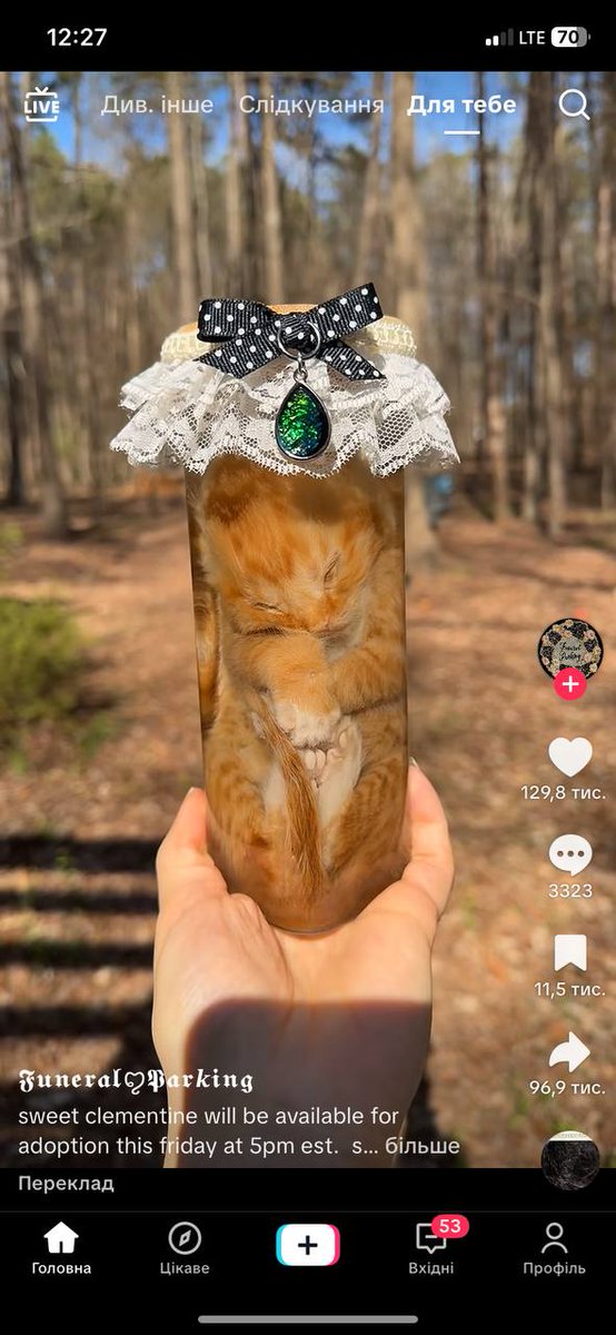 Sun.Mari tweet media