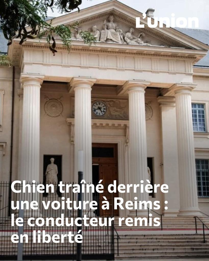 Adea Claude tweet media