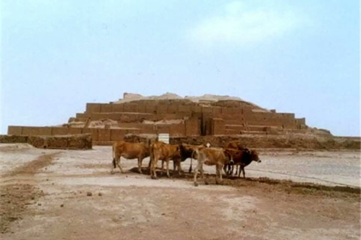 Nasser Karami ناصر کرمی tweet media