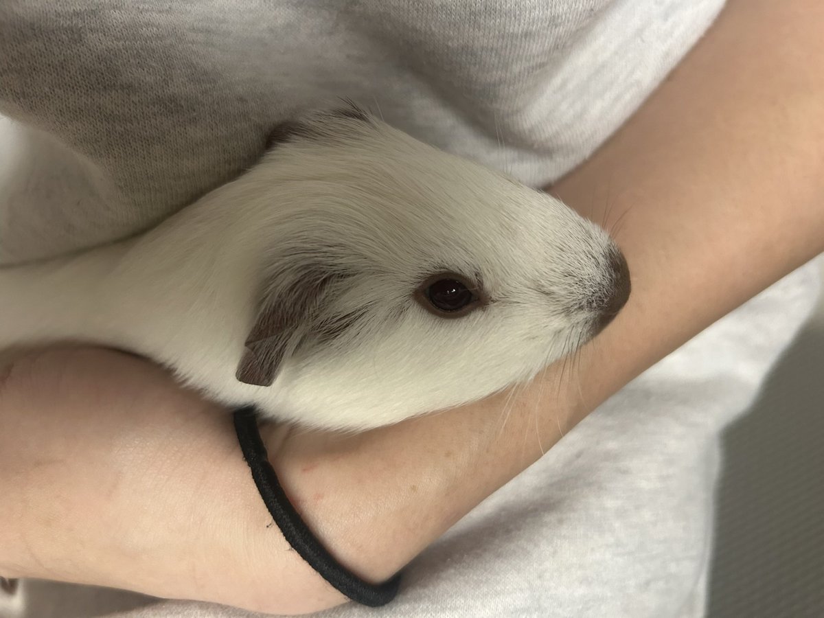 れなんなん✲*ﾟ tweet media