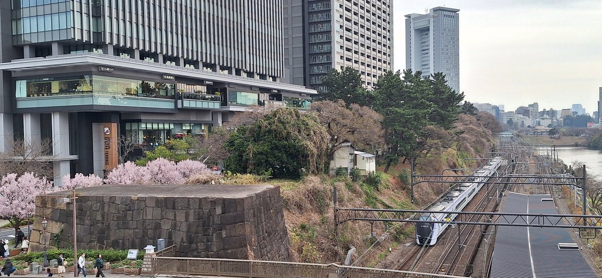 ダイカツパパ tweet media