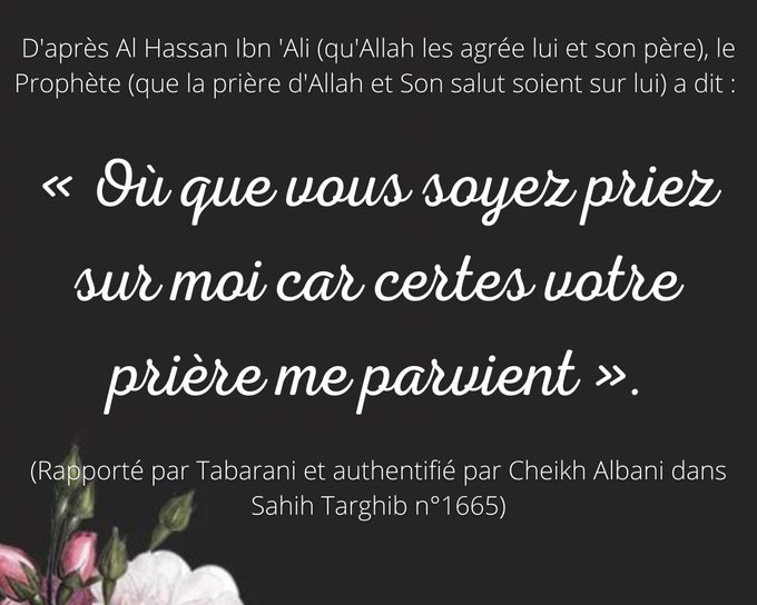 нιsseℓ'âмe ☪ 🇵🇸 tweet media