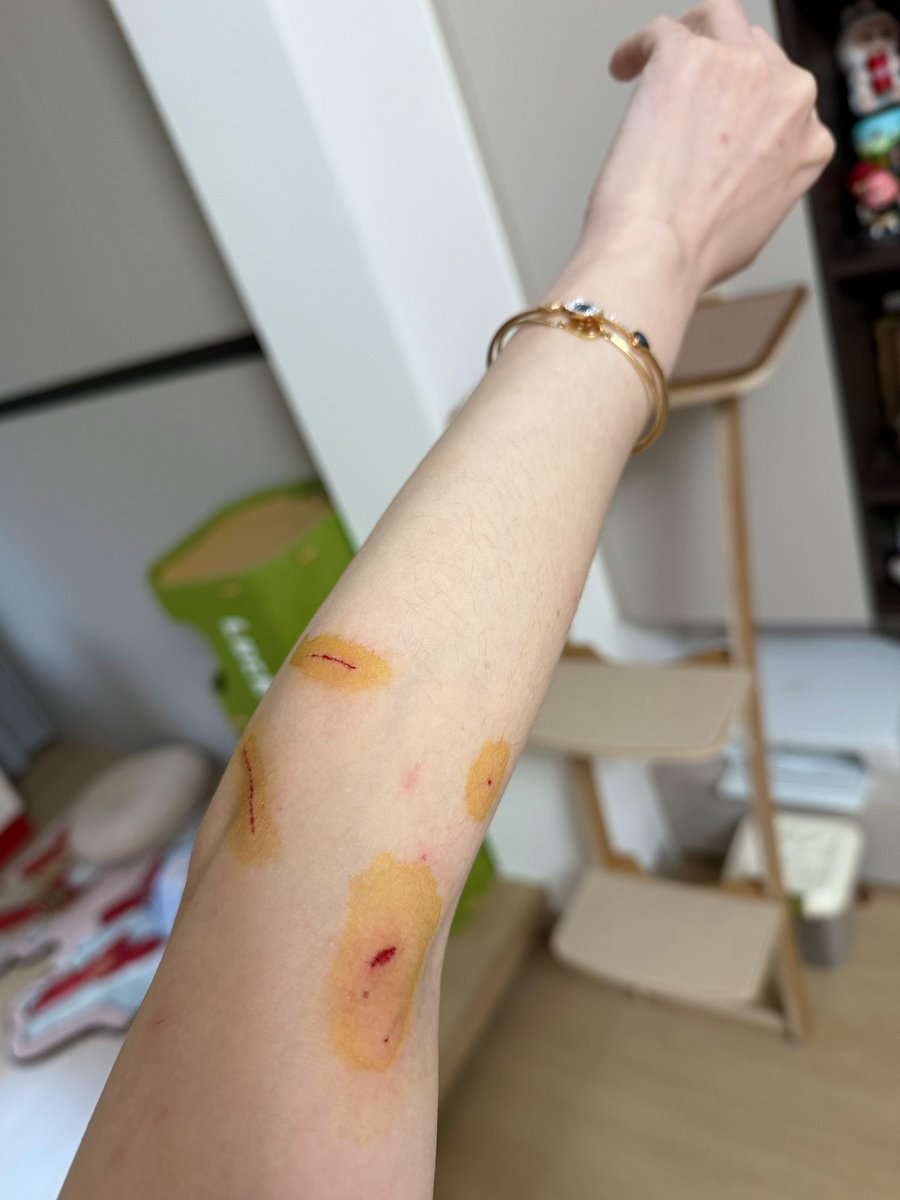 Boooo波妞! tweet media