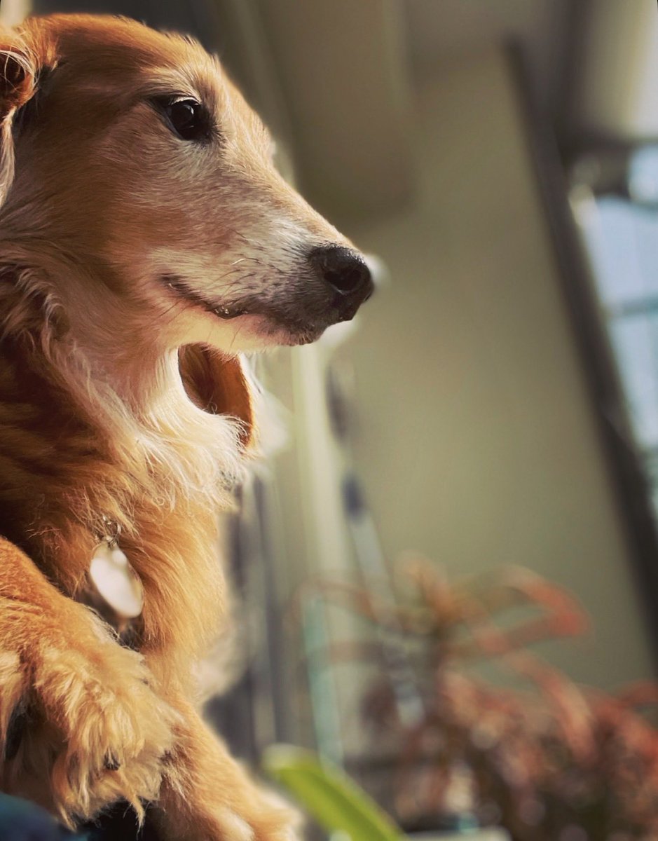 真希ナルセ(マキ) tweet media