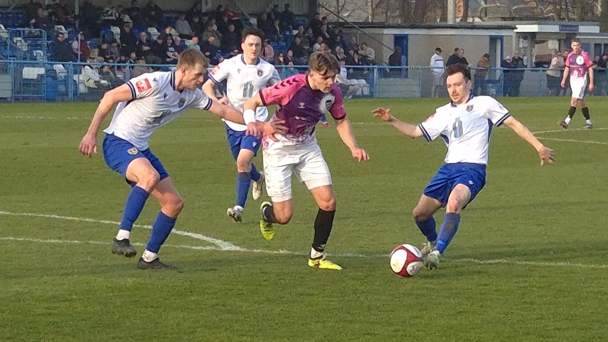 Steven holliday tweet media