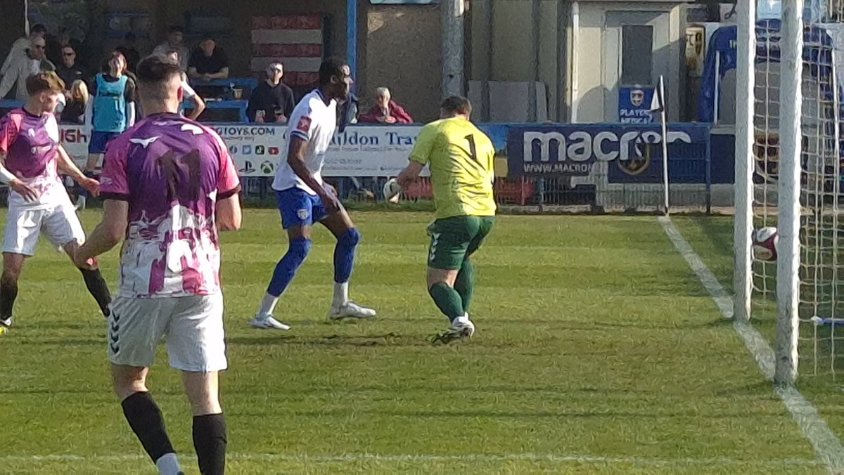 Steven holliday tweet media