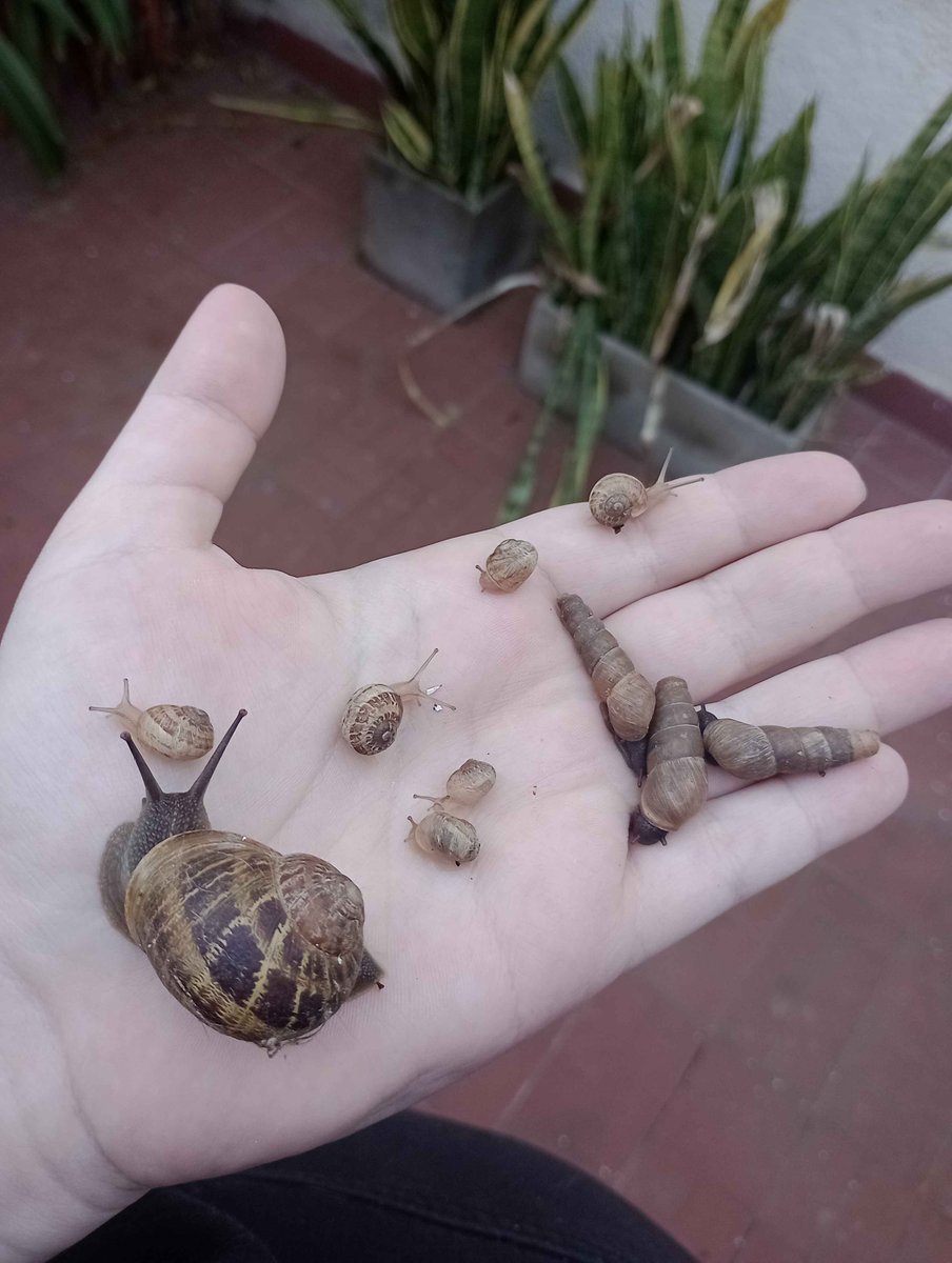 🔞King Gamer🔞🔜ARFF 2026 tweet media