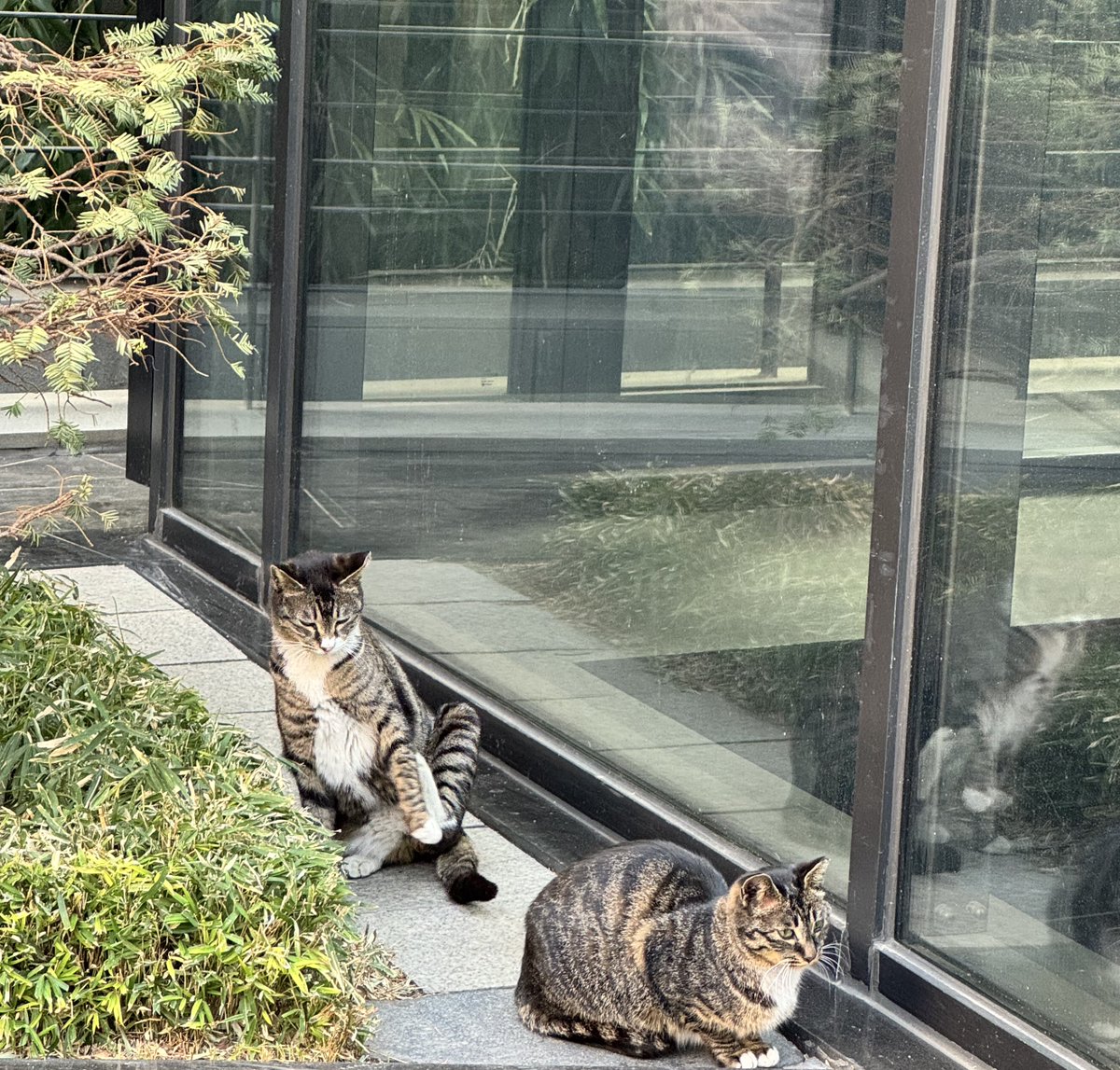 라넌 ❛ᴗ❛ tweet media