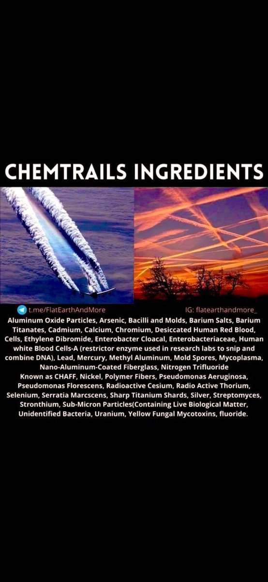 Maria Bemont tweet media