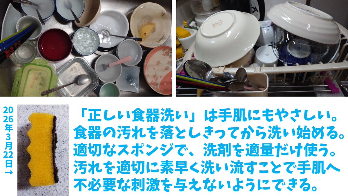 俺、洗いもん（食器洗い研究家／皿洗い研究家） tweet media