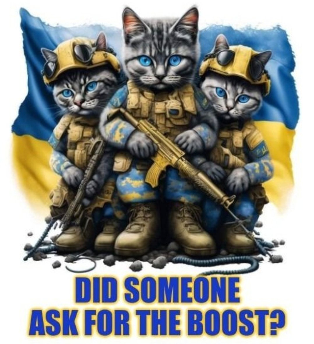 FELLASam tweet media