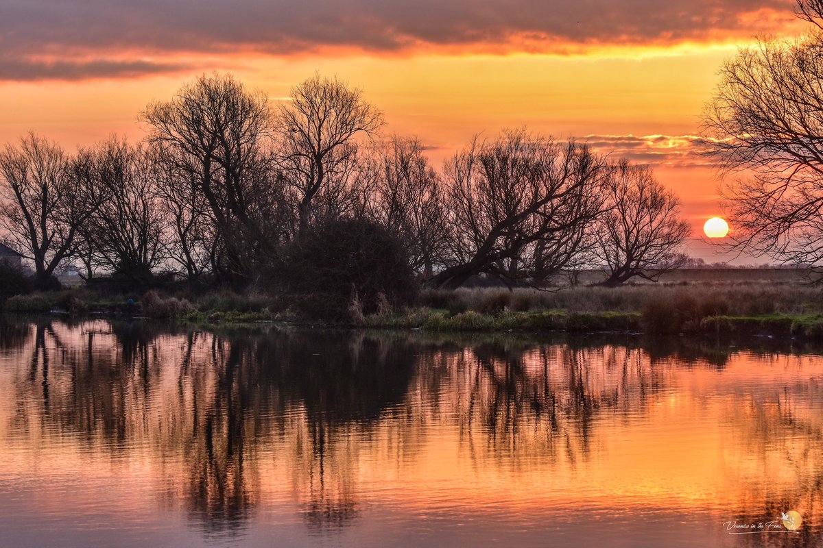 VeronicaJoPo's tweet image. Sunrise in The Fens, they are often so beautiful 😍 Nature has a wonderful way to show us art in so many different forms. 
These are from this day five years ago.
River Great Ouse, Ely, Cambridgeshire 

#sunrise #TheFens #Ely #River #Trees #Nature #Wonderful