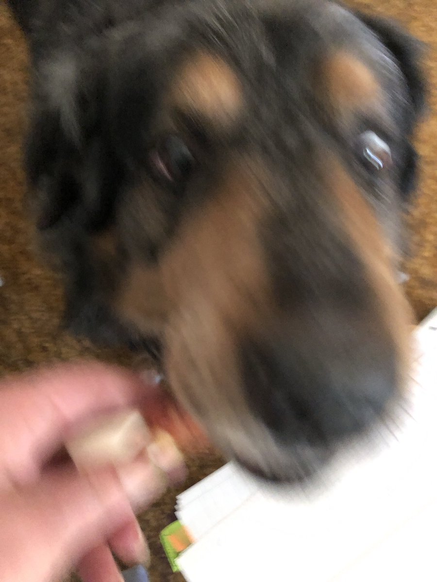 Janosch, Minister für Sofaangelegenheiten 🏅 tweet media