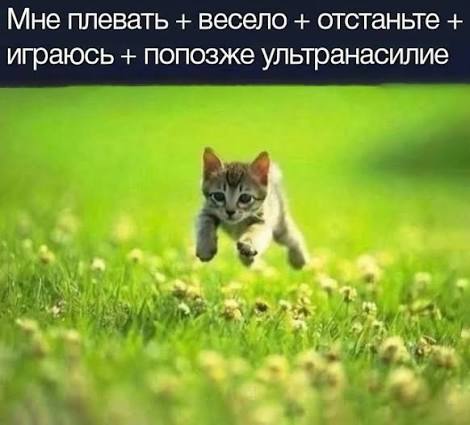 Пани Кшиштоф🗡️ tweet media