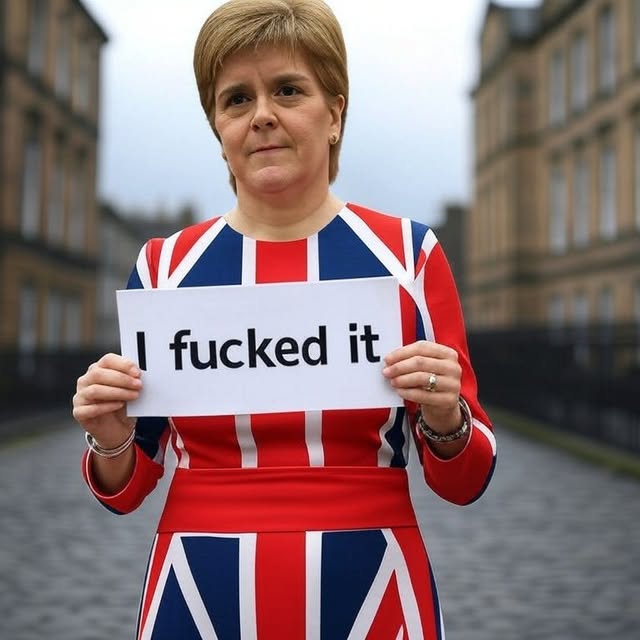 @AlbaThePict tweet media