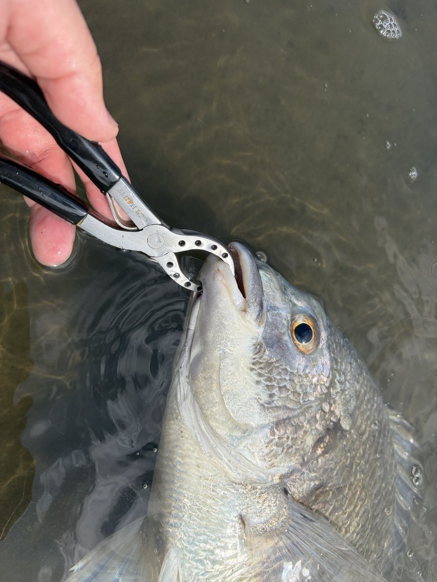 ogatyunity tweet media