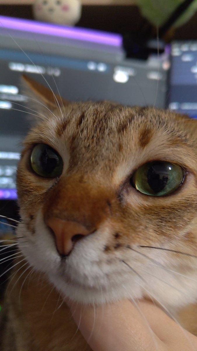 朔宮湊 達標萬訂抽兩台電腦 鳩巢娛樂所屬 tweet media