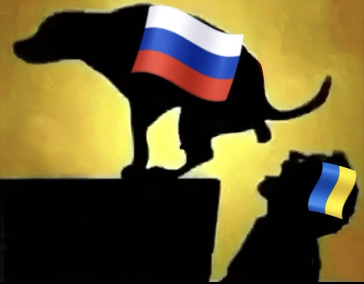 asteroid tweet media