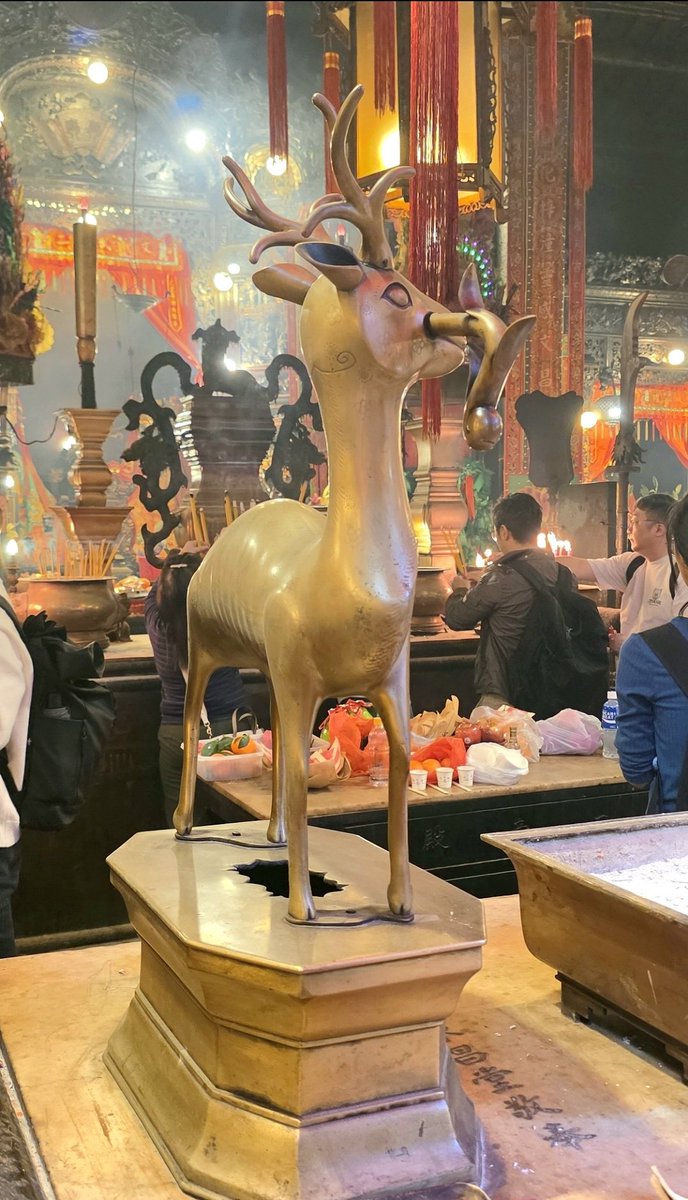 Dalekowschodnie Refleksje - Jacek Wachowiak tweet media