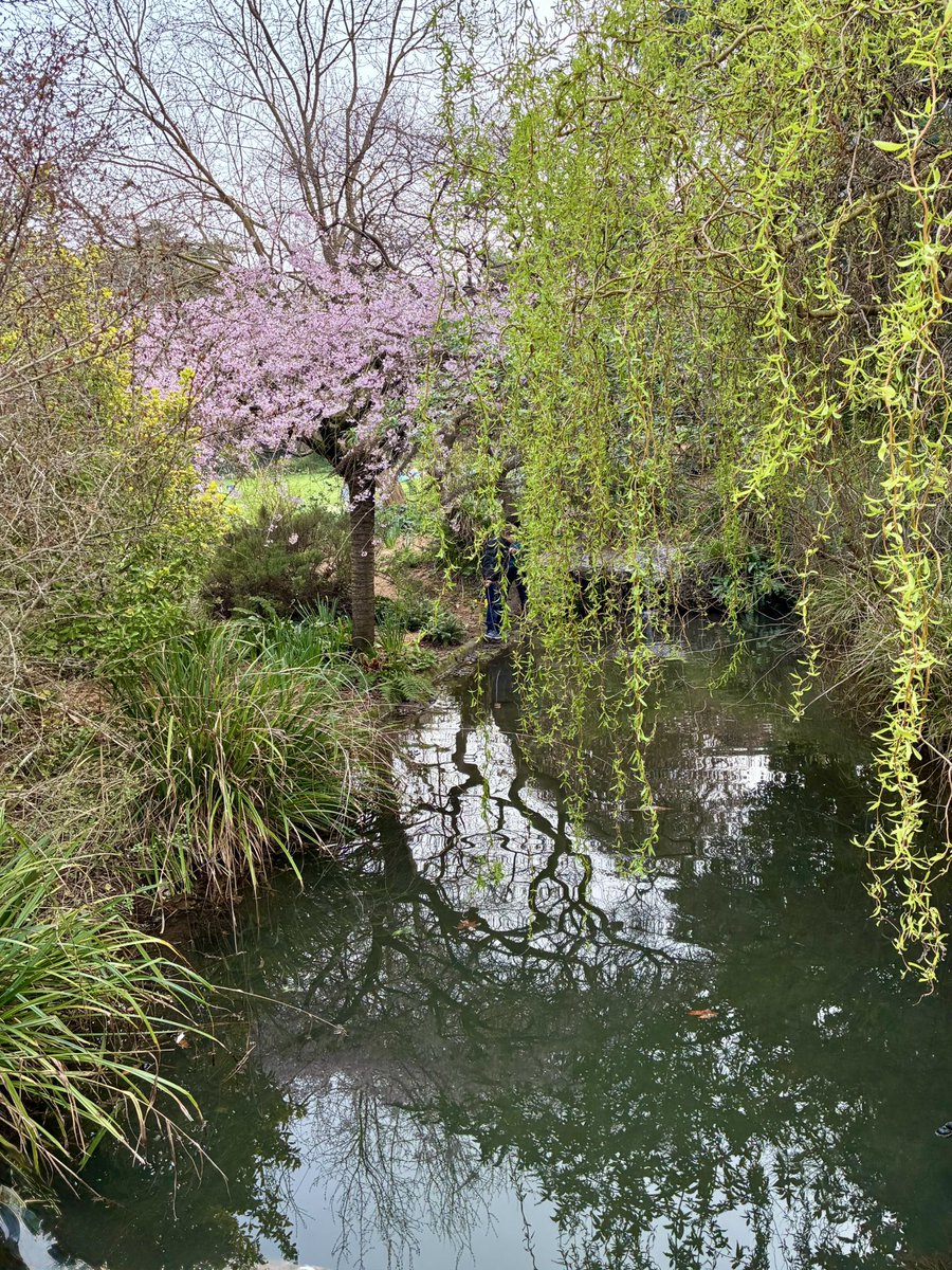 Brigitte Fleurot tweet media