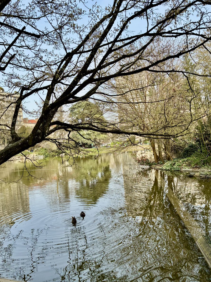 Brigitte Fleurot tweet media